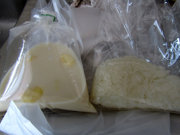 Sticky Rice and Durian to-go