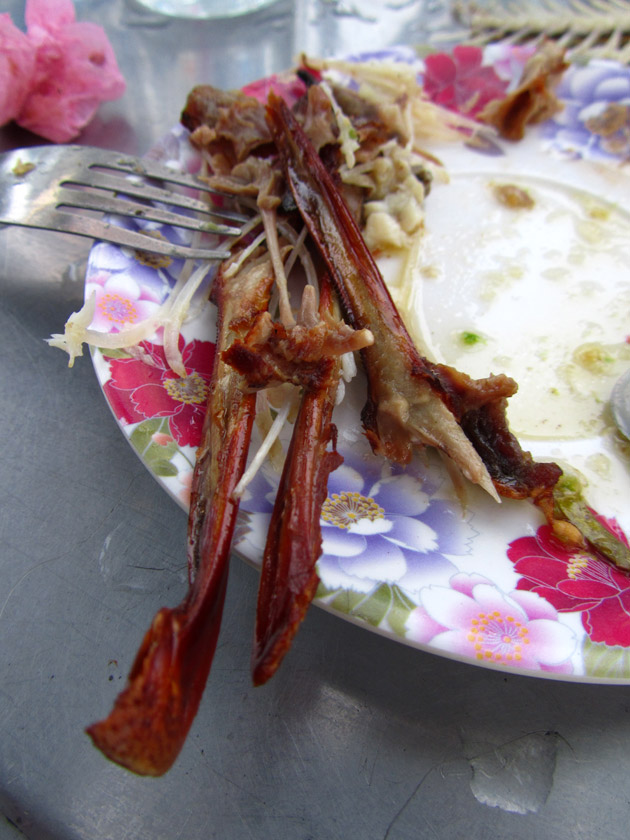 ปากเป็ด 