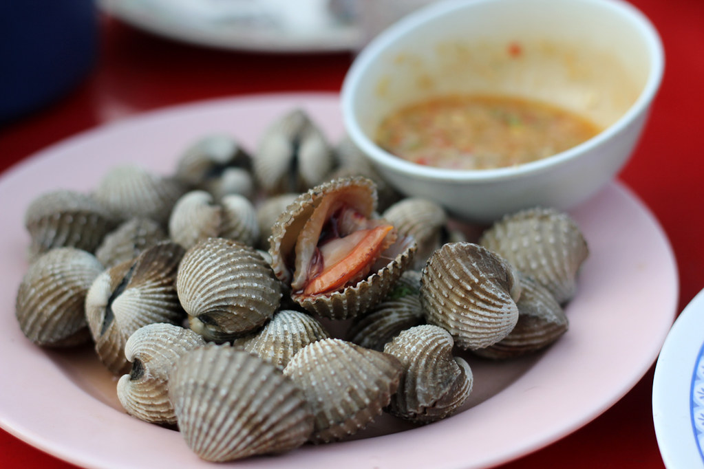 Thai Blood Cockles (หอยแครง)
