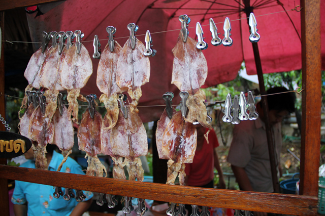Dried squid